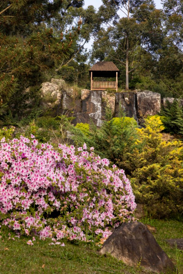 Explora el Jardín