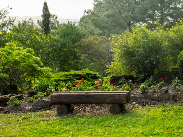 Jardín Japones Punta