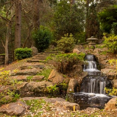 Jardín Japones Punta