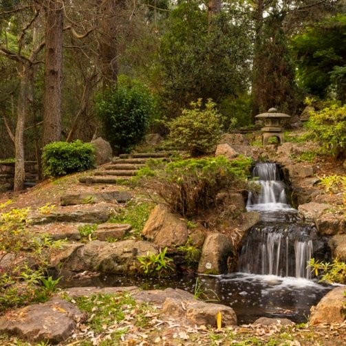 Jardín Japones Punta